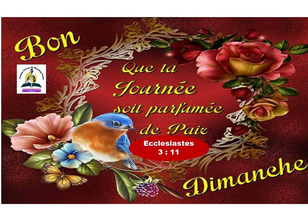 Verset Du Jour / Dimanche 24 Juin 2018