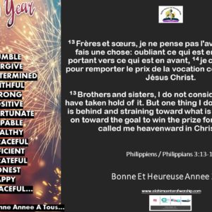 Happy New Year / Bonne Annee 2019